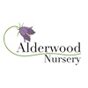 Alderwood Nursery