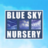 Blue sky nursery